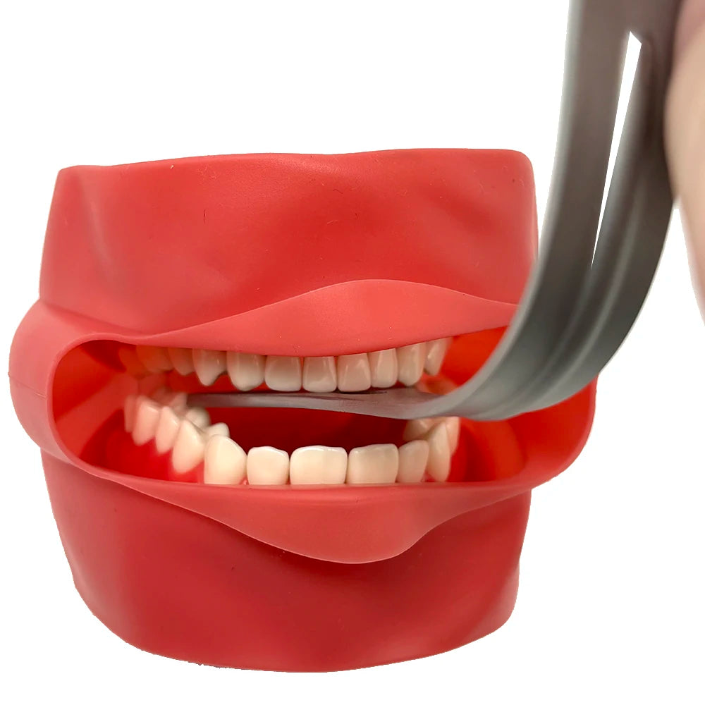 Dental Stainless Steel Lingual Isolation Retractor Mouth Retractor Dental Retractors Mouth Gag Oral Mouth Opener Wider Retractor